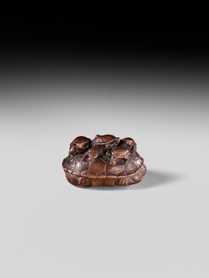 MINKO: A RARE WOOD NETSUKE OF A TURTLE WITH SIX YOUNG