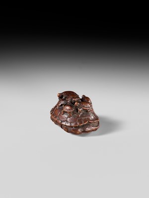 MINKO: A RARE WOOD NETSUKE OF A TURTLE WITH SIX YOUNG