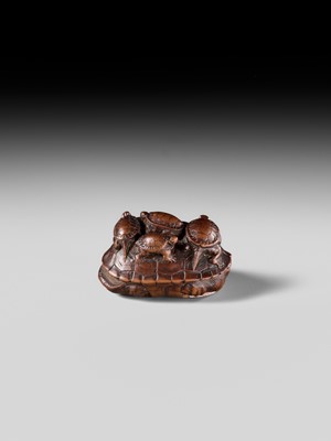 MINKO: A RARE WOOD NETSUKE OF A TURTLE WITH SIX YOUNG
