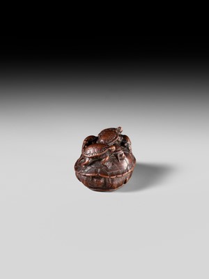 MINKO: A RARE WOOD NETSUKE OF A TURTLE WITH SIX YOUNG