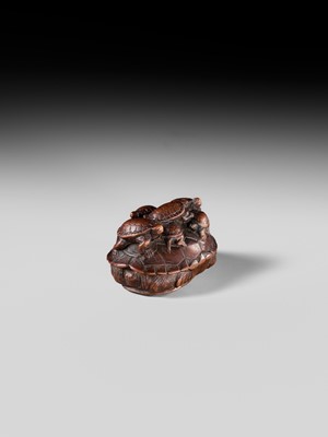MINKO: A RARE WOOD NETSUKE OF A TURTLE WITH SIX YOUNG