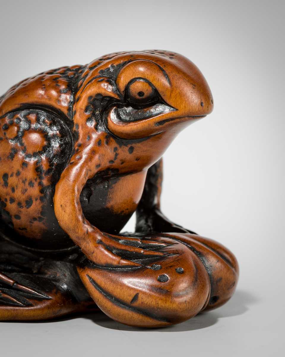 Lot 337 - A FINE WOOD NETSUKE OF A FAT TOAD ON A FURLED LEAF