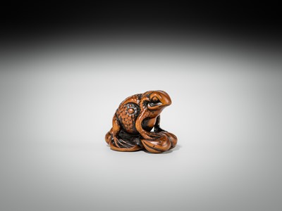 Lot 337 - A FINE WOOD NETSUKE OF A FAT TOAD ON A FURLED LEAF