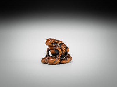 Lot 337 - A FINE WOOD NETSUKE OF A FAT TOAD ON A FURLED LEAF