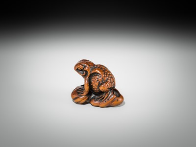 Lot 337 - A FINE WOOD NETSUKE OF A FAT TOAD ON A FURLED LEAF