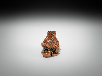 Lot 337 - A FINE WOOD NETSUKE OF A FAT TOAD ON A FURLED LEAF
