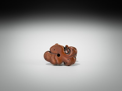 Lot 337 - A FINE WOOD NETSUKE OF A FAT TOAD ON A FURLED LEAF