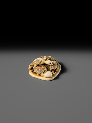 Lot 469 - RENSAI: A FINE IVORY NETSUKE OF CUCKOO ON A SUGEGASA