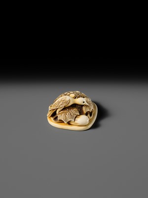 Lot 469 - RENSAI: A FINE IVORY NETSUKE OF CUCKOO ON A SUGEGASA