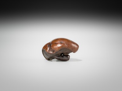 Lot 338 - A RARE AND LARGE BURLWOOD NETSUKE OF A MUSHROOM