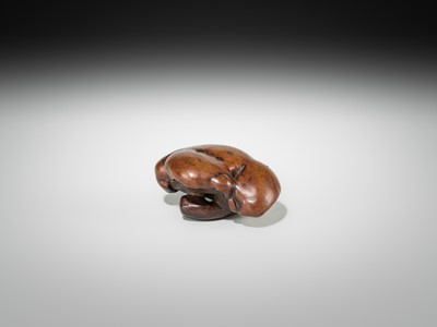 Lot 338 - A RARE AND LARGE BURLWOOD NETSUKE OF A MUSHROOM