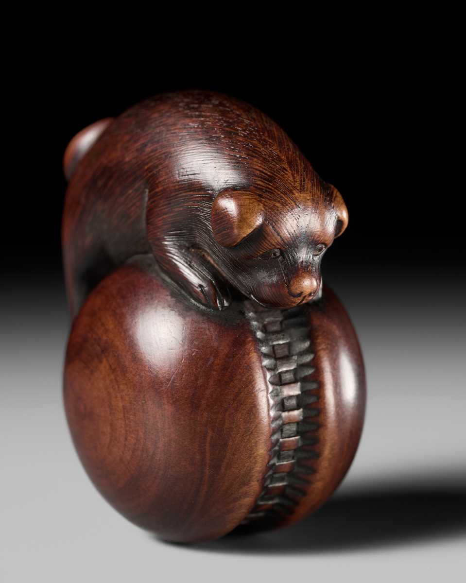 A FINE KYOTO SCHOOL WOOD NETSUKE OF A PUPPY BALANCING ON A KEMARI BALL, ATTRIBUTED TO OKATOMO