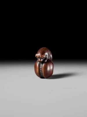 A FINE KYOTO SCHOOL WOOD NETSUKE OF A PUPPY BALANCING ON A KEMARI BALL, ATTRIBUTED TO OKATOMO