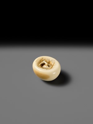 UNSHO HAKURYU: A FINE IVORY NETSUKE OF A PERSIMMON WITH INLAID SNAIL