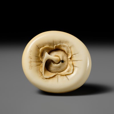 UNSHO HAKURYU: A FINE IVORY NETSUKE OF A PERSIMMON WITH INLAID SNAIL
