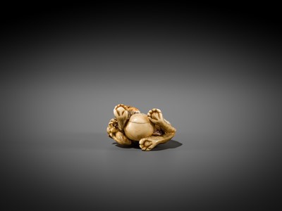 Lot 332 - A RARE IVORY NETSUKE OF A SHISHI WITH A BALL