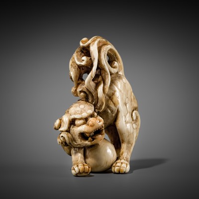 Lot 332 - A RARE IVORY NETSUKE OF A SHISHI WITH A BALL
