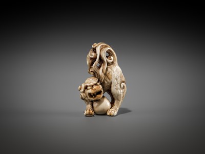 Lot 332 - A RARE IVORY NETSUKE OF A SHISHI WITH A BALL
