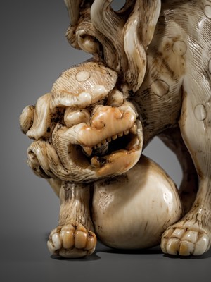 Lot 332 - A RARE IVORY NETSUKE OF A SHISHI WITH A BALL