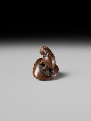 Lot 402 - SUKETADA: A FINE WOOD NETSUKE OF A KAPPA ON HAMAGURI CLAM