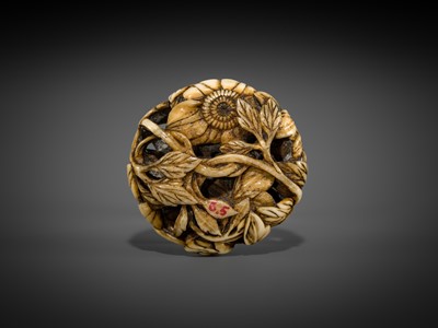 Lot 473 - A FINE WALRUS TUSK RYUSA MANJU NETSUKE OF BUTTERFLIES AND SUNFLOWERS