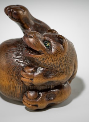 Lot 588 - MINKO: A FINE WOOD NETSUKE OF TANUKI HARA TSUZUMI