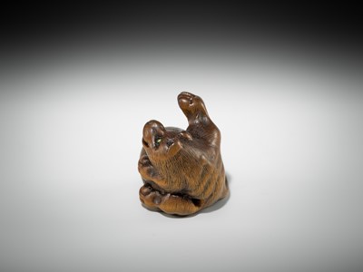 Lot 588 - MINKO: A FINE WOOD NETSUKE OF TANUKI HARA TSUZUMI