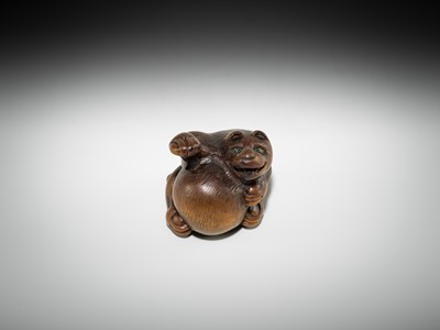Lot 588 - MINKO: A FINE WOOD NETSUKE OF TANUKI HARA TSUZUMI