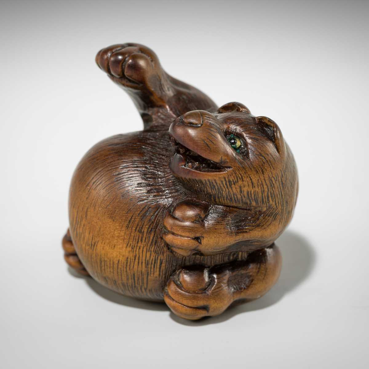Lot 588 - MINKO: A FINE WOOD NETSUKE OF TANUKI HARA TSUZUMI