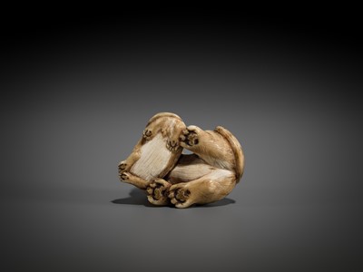 Lot 356 - HAKURYU: AN IVORY NETSUKE OF A TIGER AND CUB