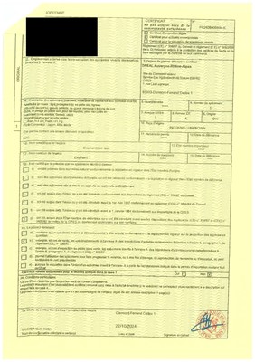 Lot 356 - HAKURYU: AN IVORY NETSUKE OF A TIGER AND CUB