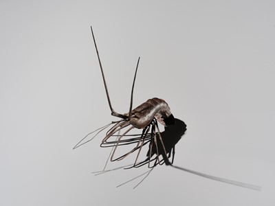 Lot 49 - MYOCHIN: AN IRON JIZAI OKIMONO OF A LOBSTER