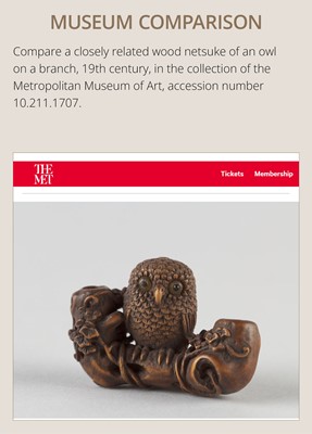 Lot 181 - KANO TOMOKAZU: A SUPERB WOOD NETSUKE OF AN OWL WITH MOVABLE OWLETS