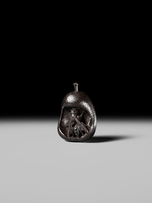 SANGETSU: A RARE EBONY WOOD NETSUKE OF A WASP IN A PEAR
