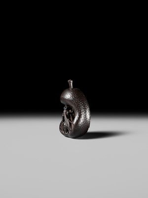 SANGETSU: A RARE EBONY WOOD NETSUKE OF A WASP IN A PEAR