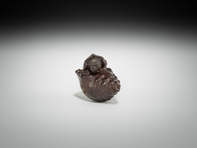 Lot 433 - KOMIN: A DARK WOOD NETSUKE OF A KAPPA EMERGING FROM A CONCH