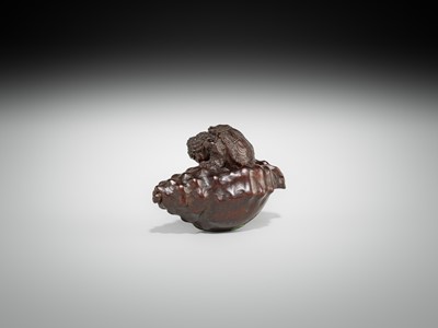 Lot 433 - KOMIN: A DARK WOOD NETSUKE OF A KAPPA EMERGING FROM A CONCH