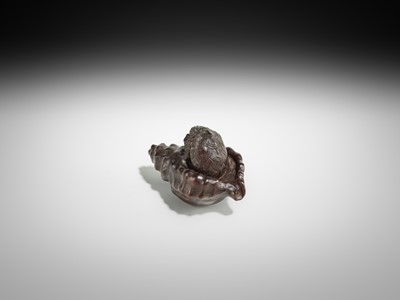 Lot 433 - KOMIN: A DARK WOOD NETSUKE OF A KAPPA EMERGING FROM A CONCH