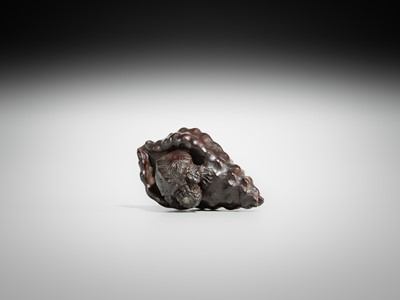 Lot 433 - KOMIN: A DARK WOOD NETSUKE OF A KAPPA EMERGING FROM A CONCH