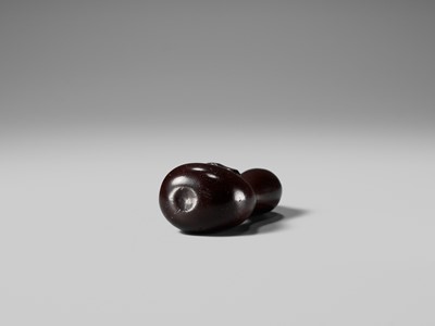 AN UNUSUAL WOOD NETSUKE OF TEKKAI SENNIN EMERGING FROM A HYOTAN (DOUBLE GOURD)