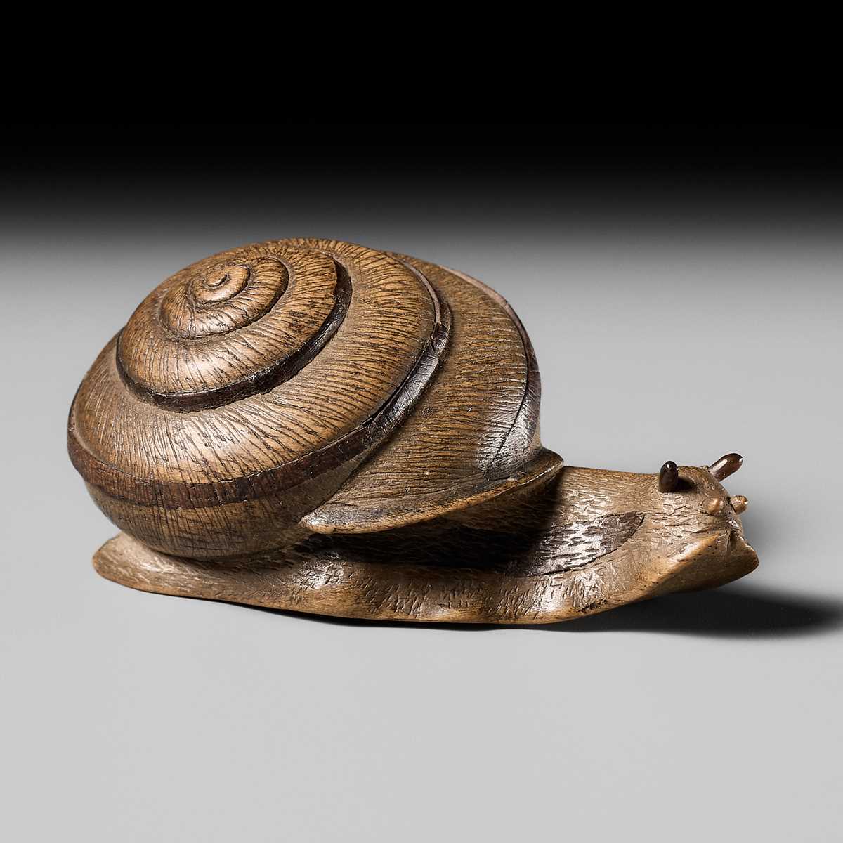 Lot 185 - YUZAN: AN UNUSUAL WOOD NETSUKE OF A SNAIL EMERGING FROM ITS SHELL