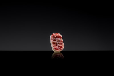 Lot 22 - A PALE CELADON JADE ‘OX’ SEAL, YUAN DYNASTY