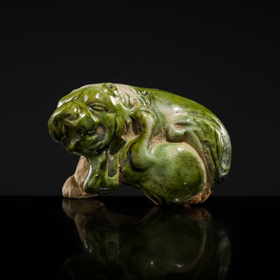 Lot 43 - A GREEN AND WHITE GLAZED POTTERY FIGURE OF A LION SCRATCHING ITSELF, TANG DYNASTY