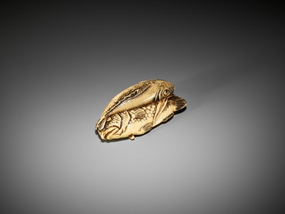 Lot 372 - KOSEN: A FINE IVORY NETSUKE OF TWO FISH AND BAMBOO
