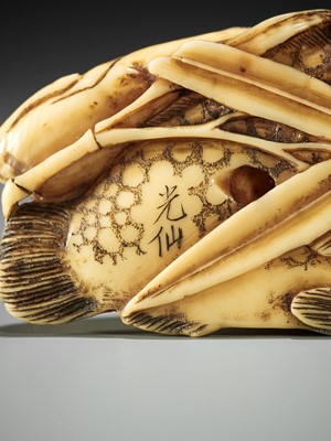 Lot 372 - KOSEN: A FINE IVORY NETSUKE OF TWO FISH AND BAMBOO
