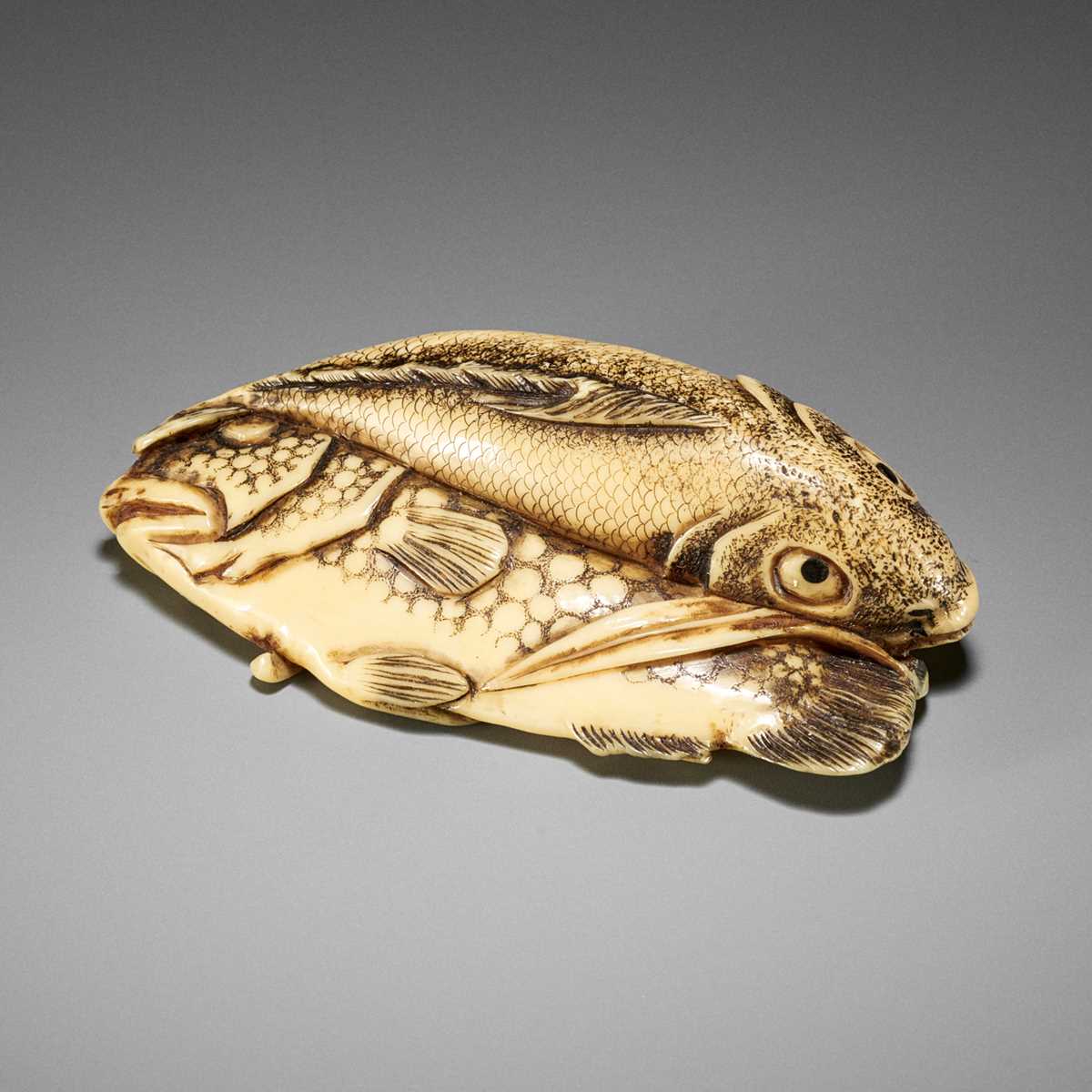 Lot 372 - KOSEN: A FINE IVORY NETSUKE OF TWO FISH AND BAMBOO