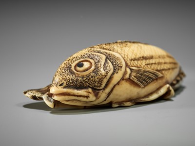 Lot 372 - KOSEN: A FINE IVORY NETSUKE OF TWO FISH AND BAMBOO
