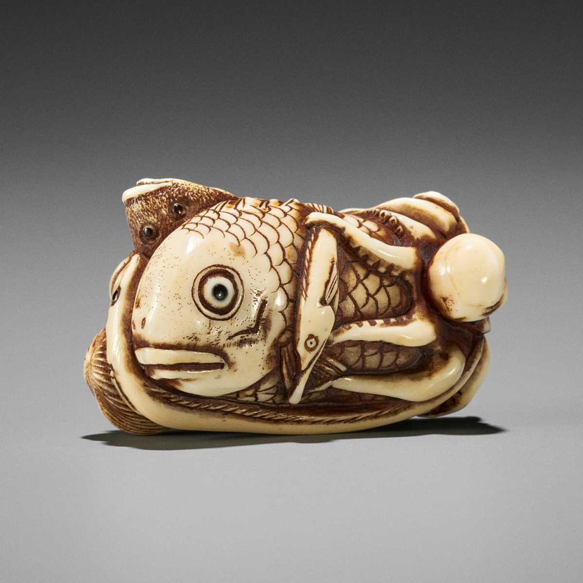 IKKOSAI: A FINE IVORY NETSUKE OF MARINE LIFE