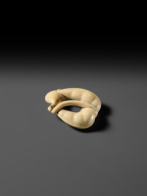 Lot 136 - AN IVORY NETSUKE OF EDAMAME BEAN PODS