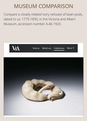 Lot 136 - AN IVORY NETSUKE OF EDAMAME BEAN PODS